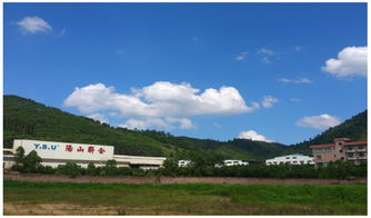 欧博企业管理咨询 中国制造业管理咨询的领军者