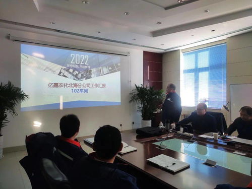 原药板块企业诊断与专项提升项目取得阶段性进展，管理创新咨询助力企业提质增效